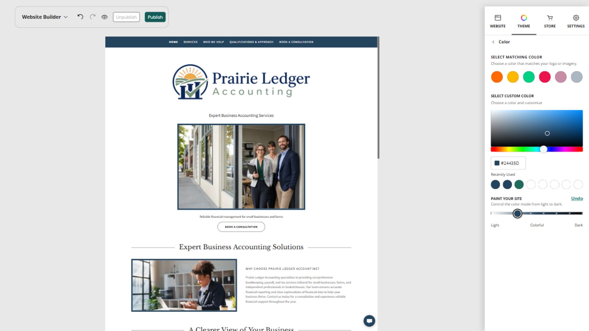 Prairie Ledger Accounting desktop Paint your site preview: Accent navigation