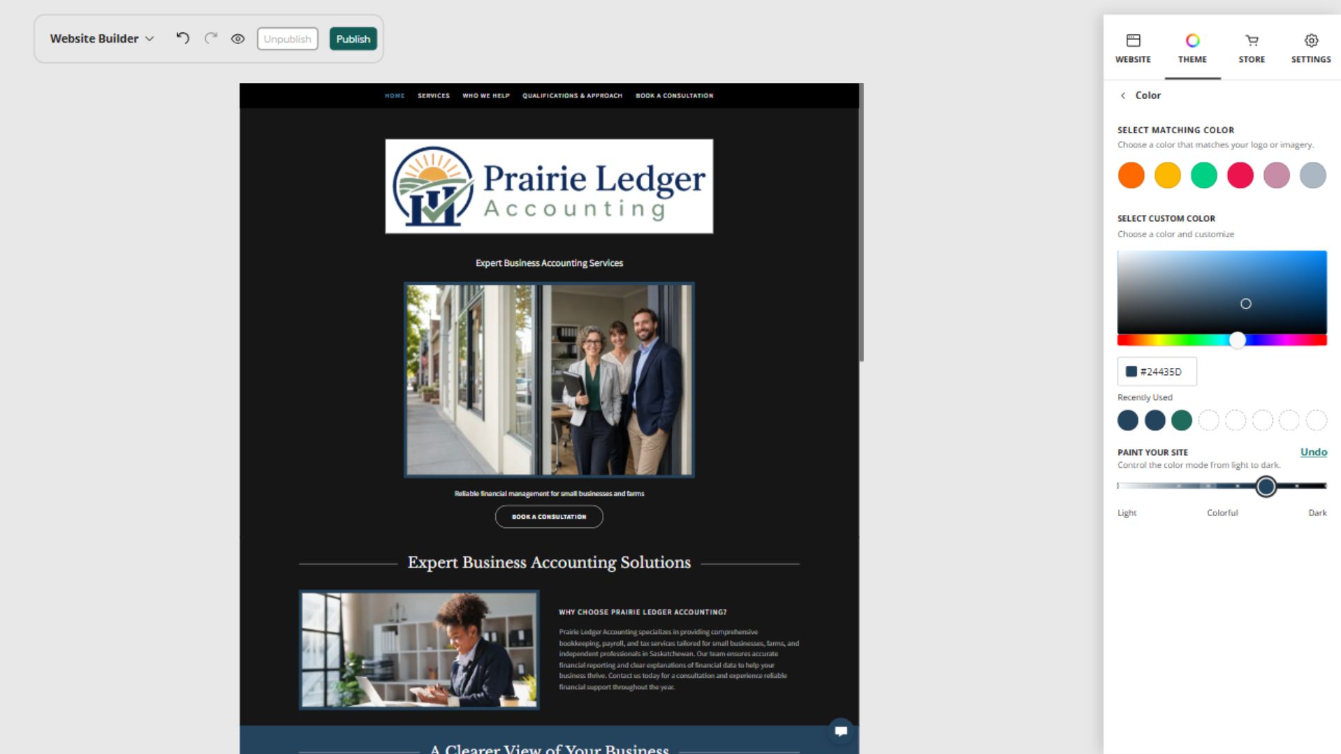 Prairie Ledger Accounting desktop Paint your site preview: Dark with colour