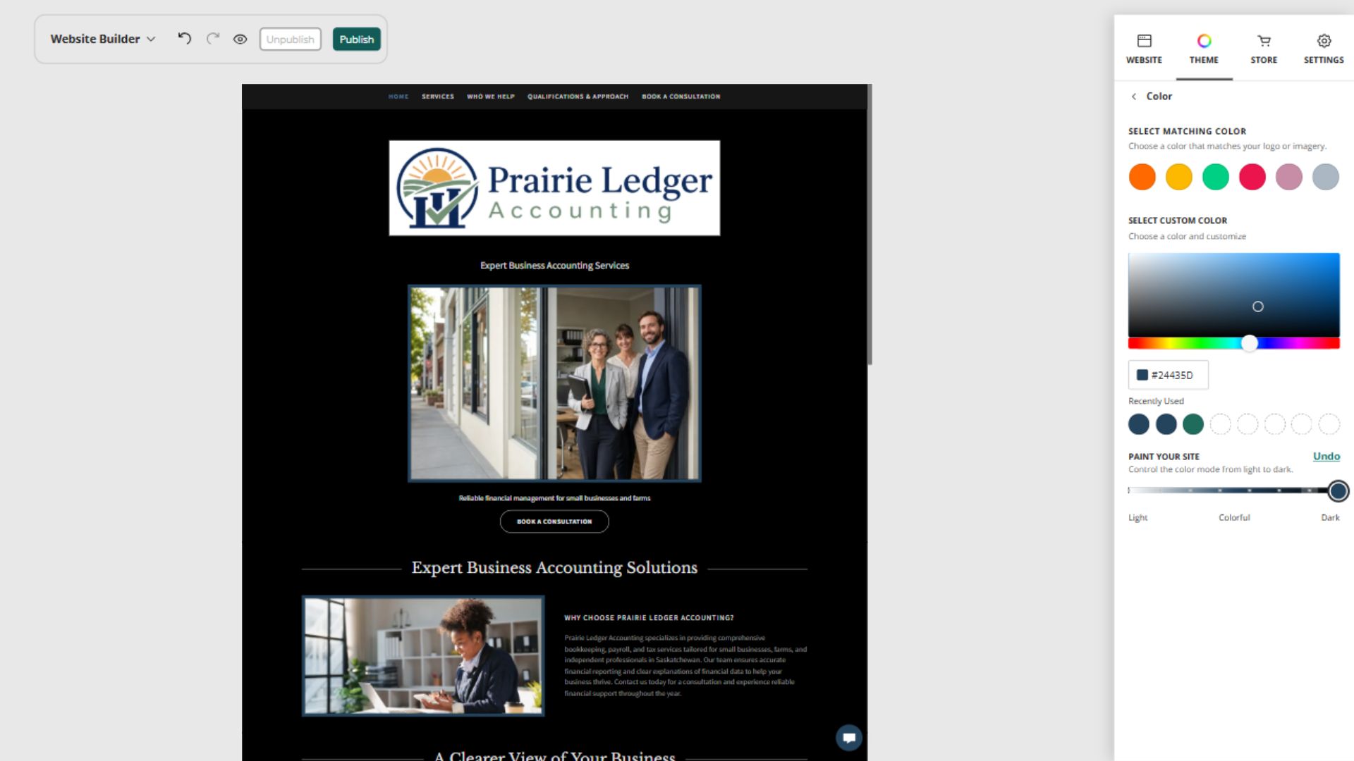 Prairie Ledger Accounting desktop Paint your site preview: Dark