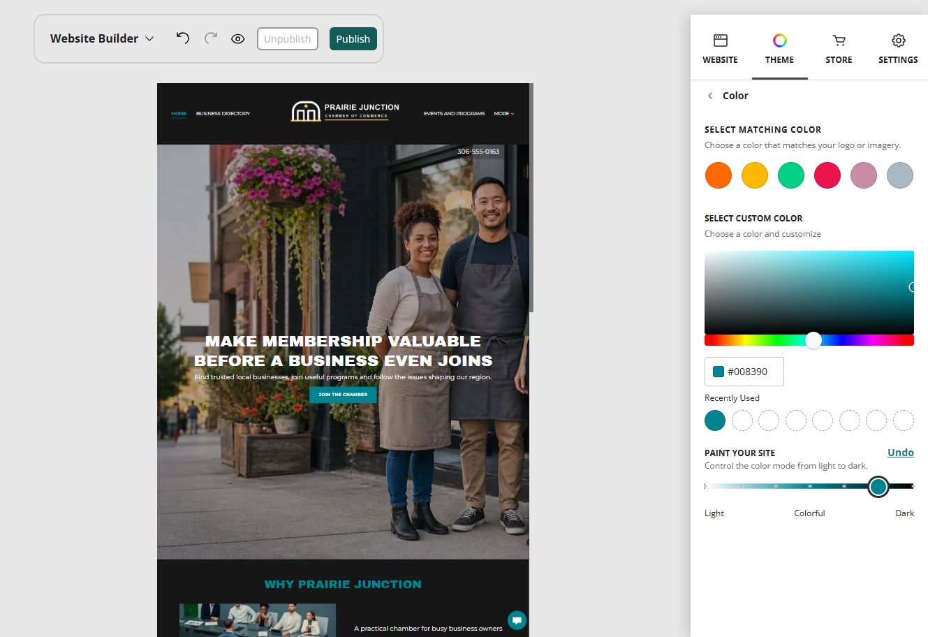 Website Builder colour and Paint controls beside the Prairie Junction home page