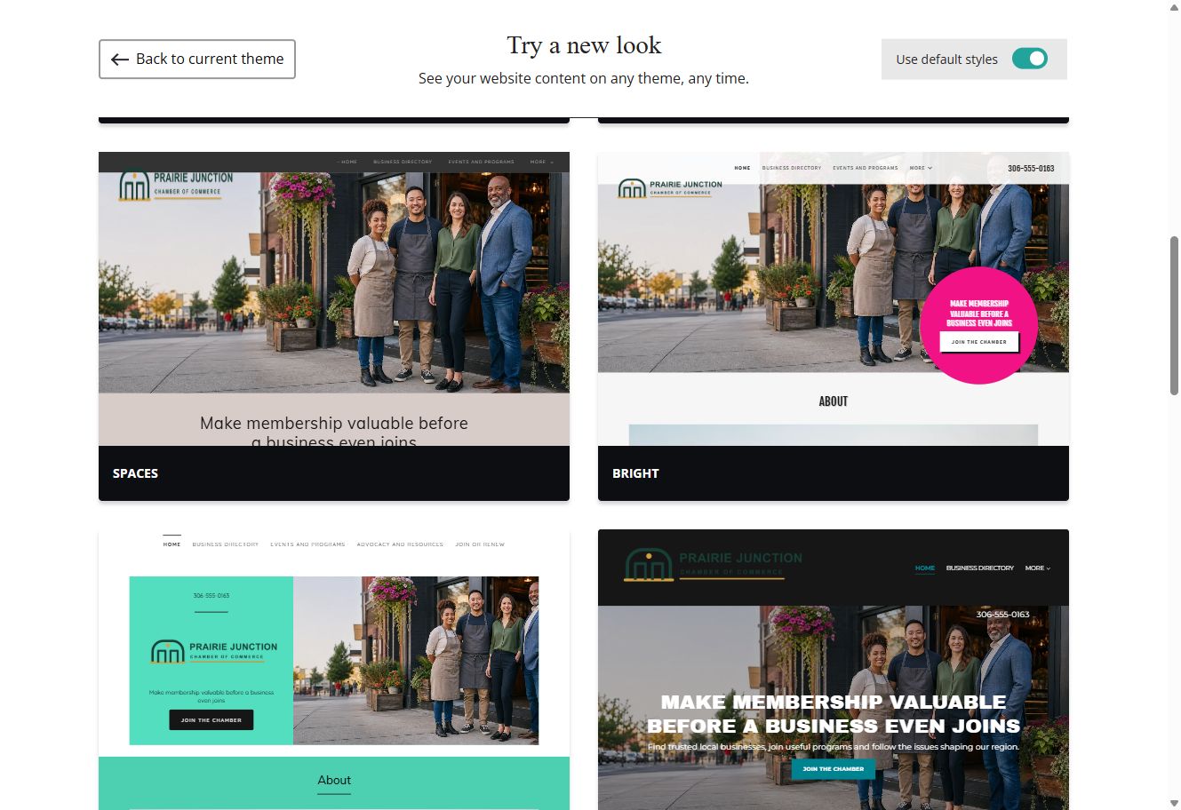 Spaces and Bright theme previews for Prairie Junction with default styles switched on