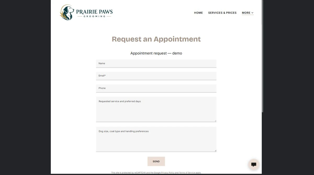 Finished Request an Appointment example — privacy-cropped excerpt