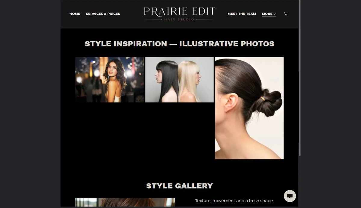 Finished Style Gallery example — privacy-cropped excerpt
