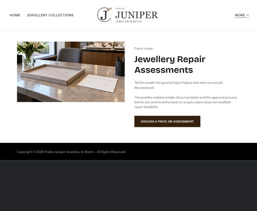 Captured first-screen Jewellery Repair Assessments example