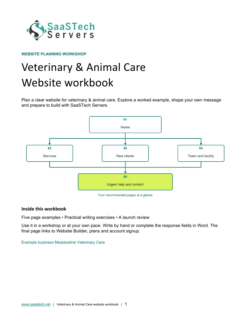 Veterinary & Animal Care website workbook cover